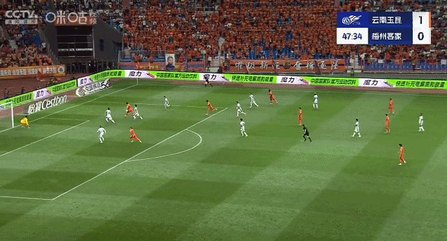 1747403778476083144.gif IMG_9877.gif